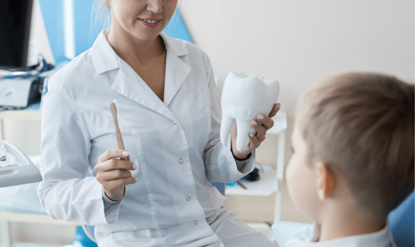 Myths Debunked Routine Dental Care Facts